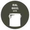 POT DE PEINTURE DISOLAC 4KG RAL 6031 VERT BRONZE LAQUE SATINÉE POT DE PEINTURE DISOLAC 4KG RAL 6031 VERT BRONZE LAQUE SATINÉE