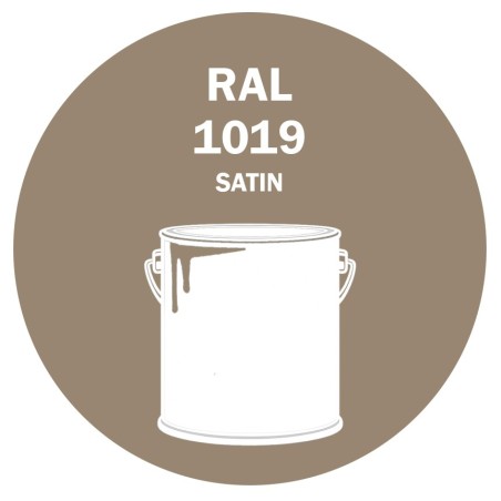 POT DE PEINTURE DISOLAC 4KG RAL 1019 BEIGE GRIS LAQUE SATINÉE