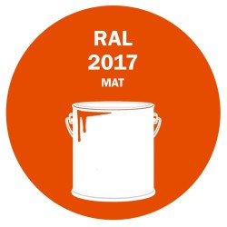 POT DE PEINTURE 5KG RAL 2017 ORANGÉ RAL PRIMAIRE MAT