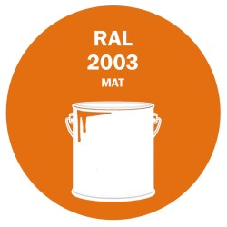 POT DE PEINTURE 5KG RAL 2003 ORANGÉ PASTEL PRIMAIRE MAT