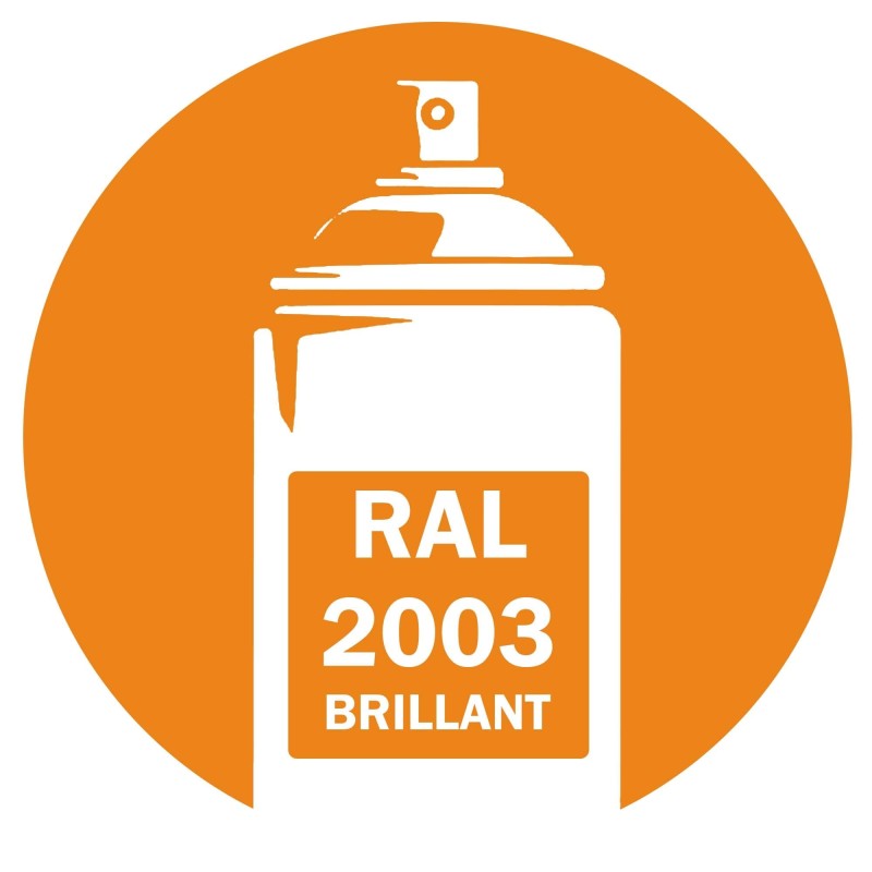 Bombe de peinture RAL 2003 Pastel orange brillant 400ml, spray pro gloss pour métal, bois, plastique et usage industriel. Bombe de peinture RAL 2003 Pastel orange brillant 400ml, spray pro gloss pour métal, bois, plastique et usage industriel.