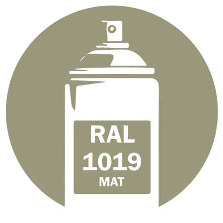 Bombe de peinture RAL 1019 Beige gris Mat