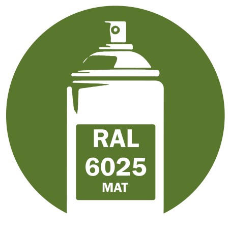 Bombe de peinture RAL 6025 Vert fougère Mat 400ml