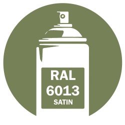 Bombe de peinture RAL 6013 Vert Jonc 400ml