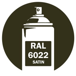Bombe de peinture RAL 6022 Olive brun satin 400ml