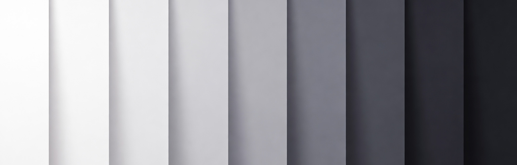 teintes de blanc et de noir.jpg