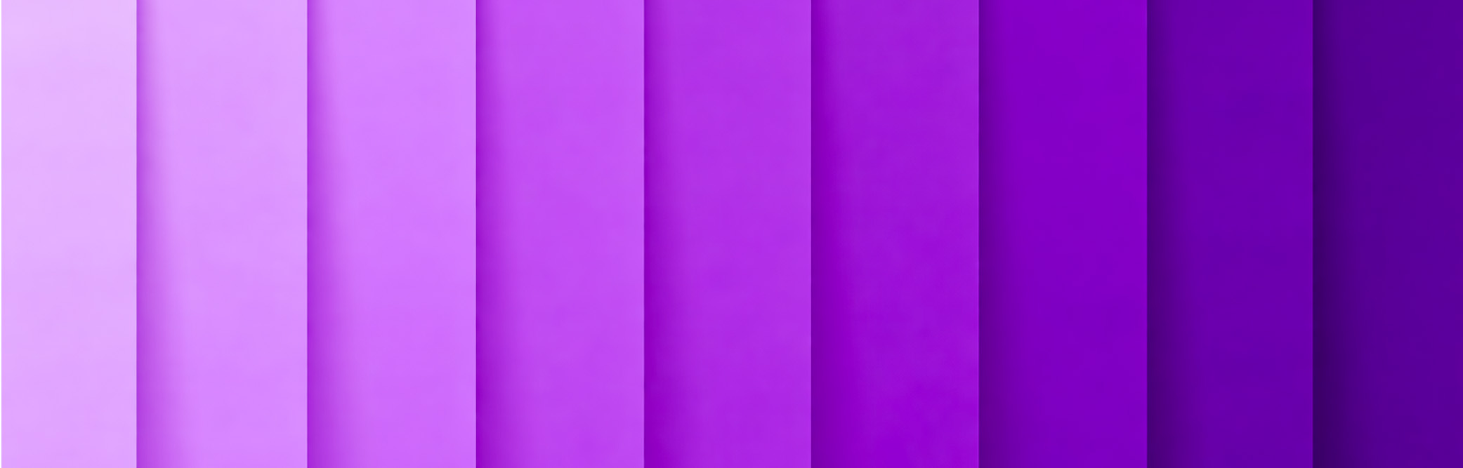 teintes de violet.jpg