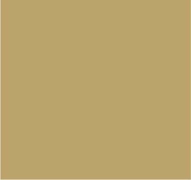 RAL 1001 Beige