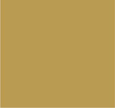 RAL 1002 Jaune sable