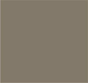 RAL 1019 Beige gris