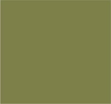 RAL 1020 Jaune olive