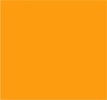 RAL 2007 Orangé clair brillant