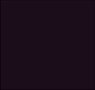 RAL 3007 Rouge noir
