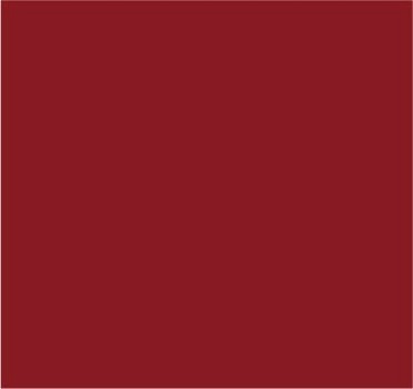 RAL 3016 Rouge corail