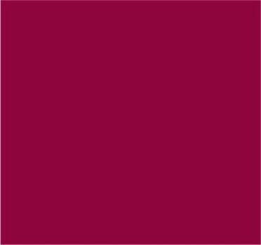 RAL 3027 Rouge framboise
