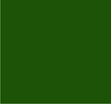 RAL 6002 Vert feuillage