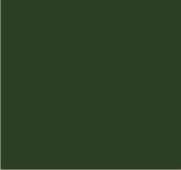 RAL 6003 Vert olive