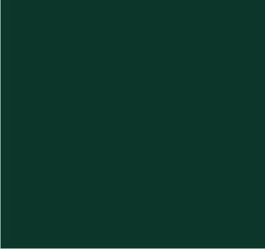 RAL 6004 Vert bleu
