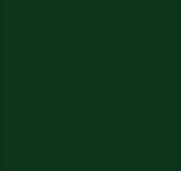 RAL 6005 Vert mousse