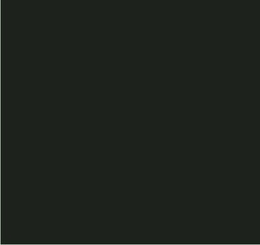RAL 6006 Olive gris