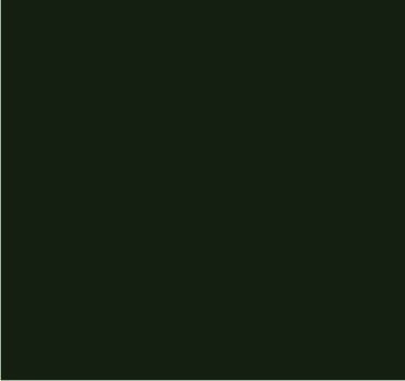 RAL 6007 Vert bouteille
