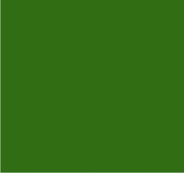 RAL 6010 Vert herbe