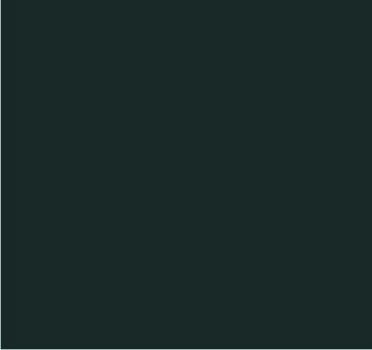 RAL 6012 Vert noir