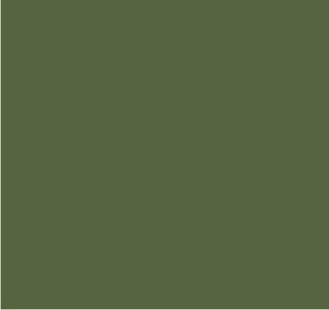 RAL 6013 Vert jonc