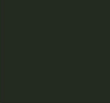 RAL 6014 Olive jaune