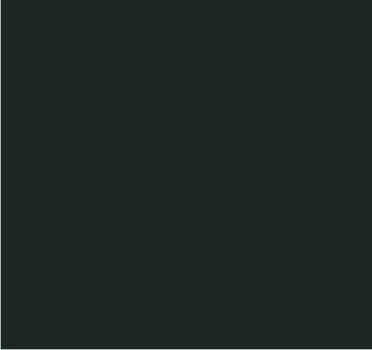 RAL 6015 Olive noir