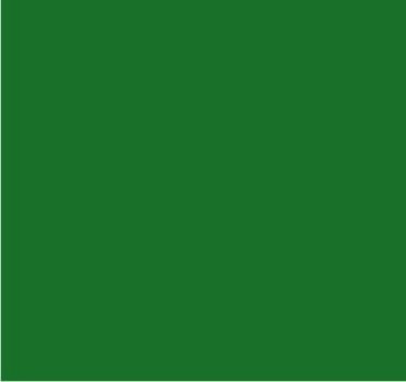 RAL 6016 Vert turquoise