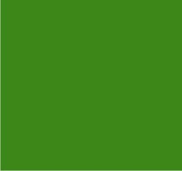 RAL 6017 Vert mai
