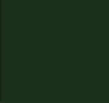 RAL 6020 Vert oxyde chromique