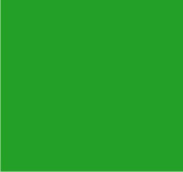 RAL 6024 Vert signalisation