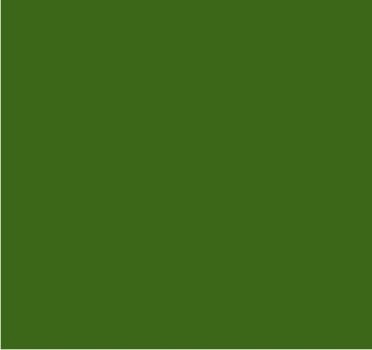 RAL 6025 Vert fougère