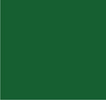 RAL 6026 Vert opale