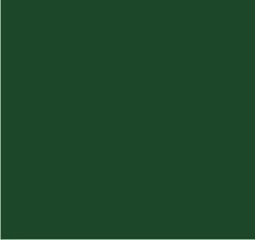 RAL 6028 Vert pin