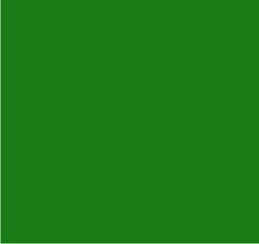 RAL 6029 Vert menthe