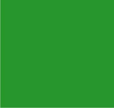RAL 6032 Vert de sécurité
