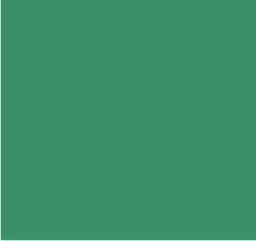 RAL 6033 Turquoise menthe