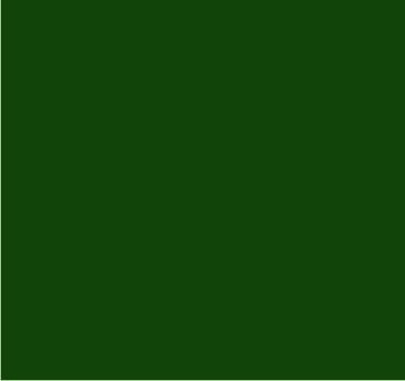 RAL 6035 Vert nacré