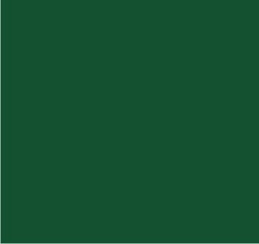 RAL 6036 Vert opal nacré