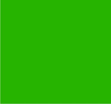 RAL 6037 Vert pur