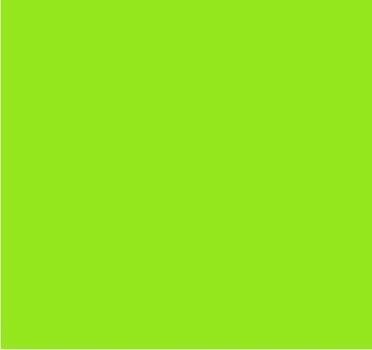 RAL 6039 Vert fibre
