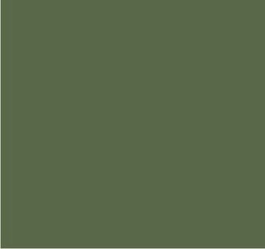 RAL 7002 Gris olive