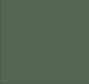 RAL 7003 Gris mousse