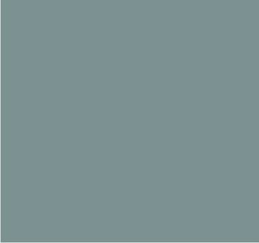 RAL 7004 Gris de sécurité
