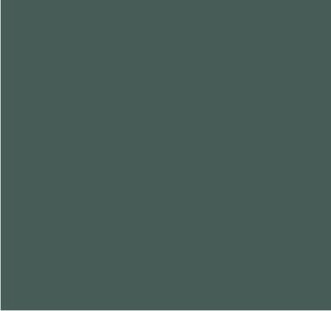 RAL 7005 Gris souris