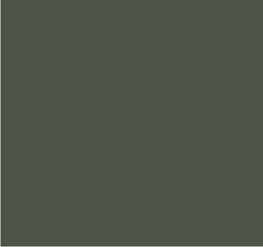 RAL 7006 Gris beige