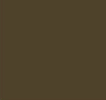 RAL 7008 Gris kaki